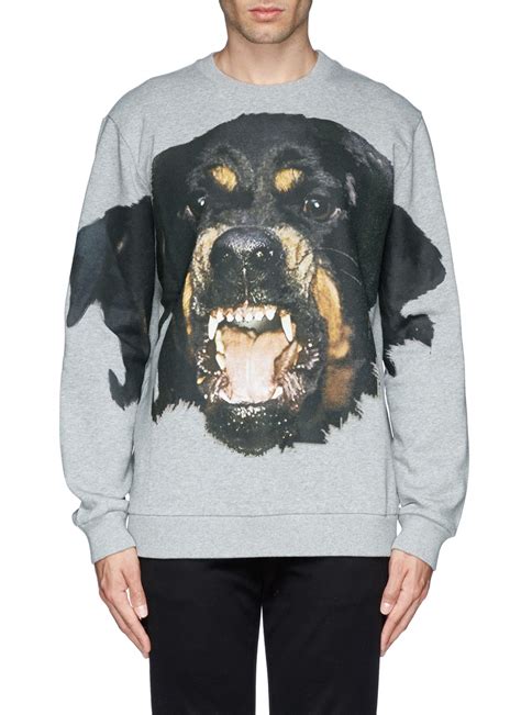 rottweiler sweatshirt givenchy small|Givenchy rottweiler hoodie.